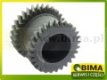 9019a.jpg