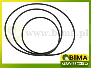 ORING USZCZELNIACZ SPRZĘGŁA MASSEY FERGUSON 378293X1