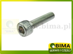 ŚRUBA KOSZA PÓŁBIEGU RENAULT CLAAS ARES 6005018687