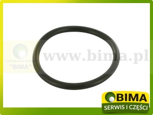 ORING WAŁKA PODNOŚNIKA CASE 3220176R1