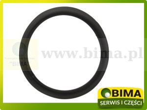 USZCZELKA FILTRA PALIWA RENAULT CLAAS JOHN DEERE R113565 600502330