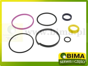 ZESTAW USZCZELNIACZY SIŁOWNIKA SPRZĘGŁA RENAULT CLAAS 6005010009 ORYGINAŁ