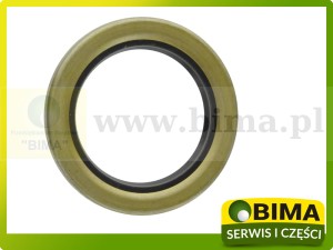 USZCZELNIACZ CASE MCCORMICK 402567R91 