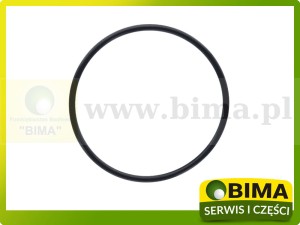 ORING PRZYSTAWKI PRZEDNIEGO NAPĘDU MASSEY FERGUSON 1009659M1