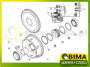ORING RENAULT CLAAS 6005021678