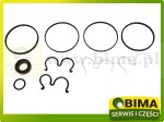 ZESTAW NAPRAWCZY POMPY HYDRAULICZNEJ MASSEY FERGUSON FENDT LANDINI 3100439M91 F279940050040