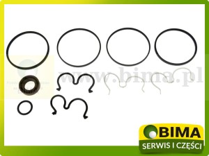 ZESTAW NAPRAWCZY POMPY HYDRAULICZNEJ MASSEY FERGUSON FENDT LANDINI 3100439M91 F279940050040
