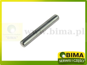 ZABEZPIECZENIE SWORZNI MECHANIZMU RÓŻNICOWEGO RENAULT CLAAS 6005022572