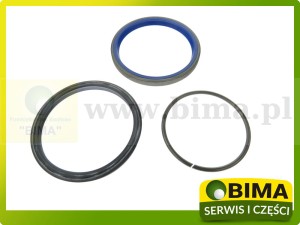 ZESTAW NAPRAWCZY SIŁOWNIKA PODNOŚNIKA MASSEY FERGUSON 1810898M91