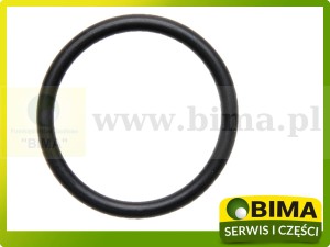 Oring zaworu pompy - P-100 38 x 4mm