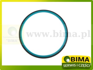 USZCZELNIACZ CASE NEW HOLLAND 5162252