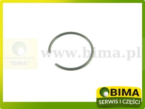 PIERŚCIEŃ ZABEZPIECZAJĄCY RENAULT CLAAS 6005018847