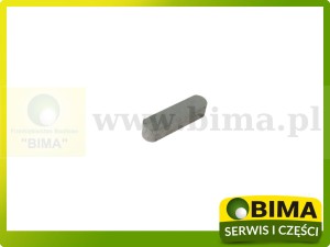 KLIN WYPUSTOWY CLAAS 766546