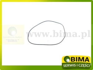PIERŚCIEŃ USZCZELNIAJĄCY RENAULT CLAAS 6000103399