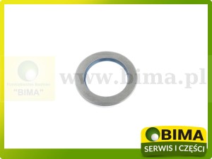 USZCZELNIACZ PRZEDNIEGO MOSTU MASSEY FERGUSON 3426845M1