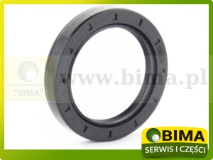 USZCZELNIACZ TYLNEGO MOSTU RENAULT 55x76x12