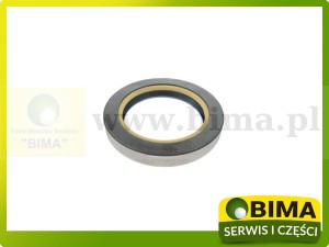 USZCZELNIACZ PRZEDNIEGO MOSTU CASE 81873C1