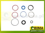 ZESTAW PIERŚCIENI USZCZELNIAJĄCYCH RENAULT CLAAS 6005000427