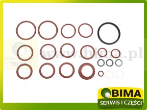ZESTAW PIERŚCIENI USZCZELNIAJĄCYCH ZAWORU RENAULT CLAAS 6005022546