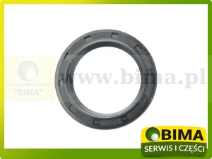 USZCZELNIACZ 32X45X7