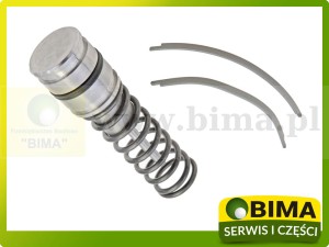 ZESTAW NAPRAWCZY ZAWORU SPRZĘGŁA MOKREGO MASSEY FERGUSON 3713396M12