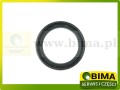 bima069402C.jpg