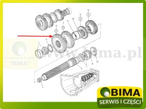 KOŁO ZĘBATE MASSEY FERGUSON Z41 3617256M3 3617256M2