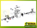 BIMA069456c.jpg