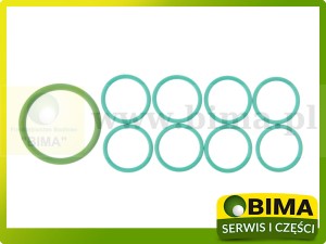 ZESTAW PIERŚCIENI USZCZELNIAJĄCYCH ROZDZIELACZA ORYGINAŁ RENAULT CLAAS 6005027838