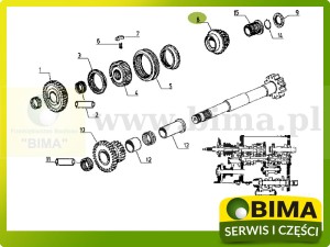 KOŁO ZĘBATE REWERSU RENAULT
