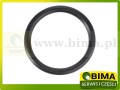 BIMA069504a.JPG