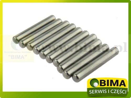 BIMA069530a.JPG