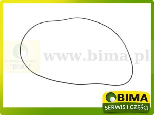 ORING UKŁADY RÓŻNICOWEGO ORYGINAŁ MASSEY FERGUSON 1860838M2