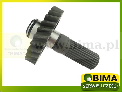 BIMA069627a.jpg