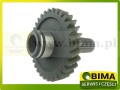 BIMA069627b1.jpg