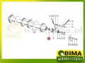 BIMA069708b.jpg