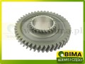 BIMA069714b.jpg