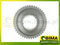 BIMA069714c.jpg