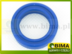 USZCZELNIACZ SIŁOWNIKA  25X35X10