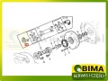 BIMA069810C.JPG