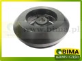 BIMA069811a.JPG