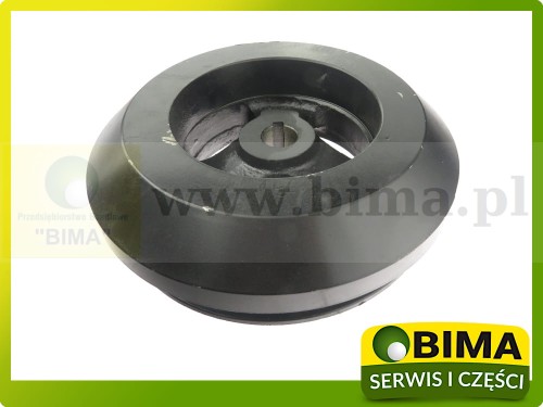BIMA069811a.JPG