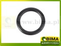 BIMA069884A.jpg