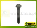 BIMA069903a.jpg