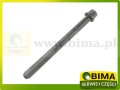 BIMA069938A.jpg