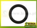 BIMA069977A.jpg