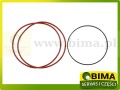 BIMA069980A.jpg
