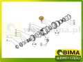 BIMA7501469d.jpg