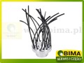 BIMA7501799B.jpg