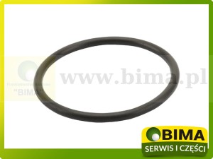 ORING OBUDOWY POMPEY WODY ORYGINAŁ JOHN DEERE R89944